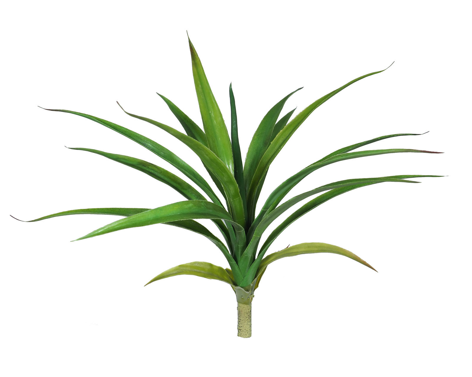2621200.jpg Yuca Tropic Peq. plastico - 40cm - Imagen 1