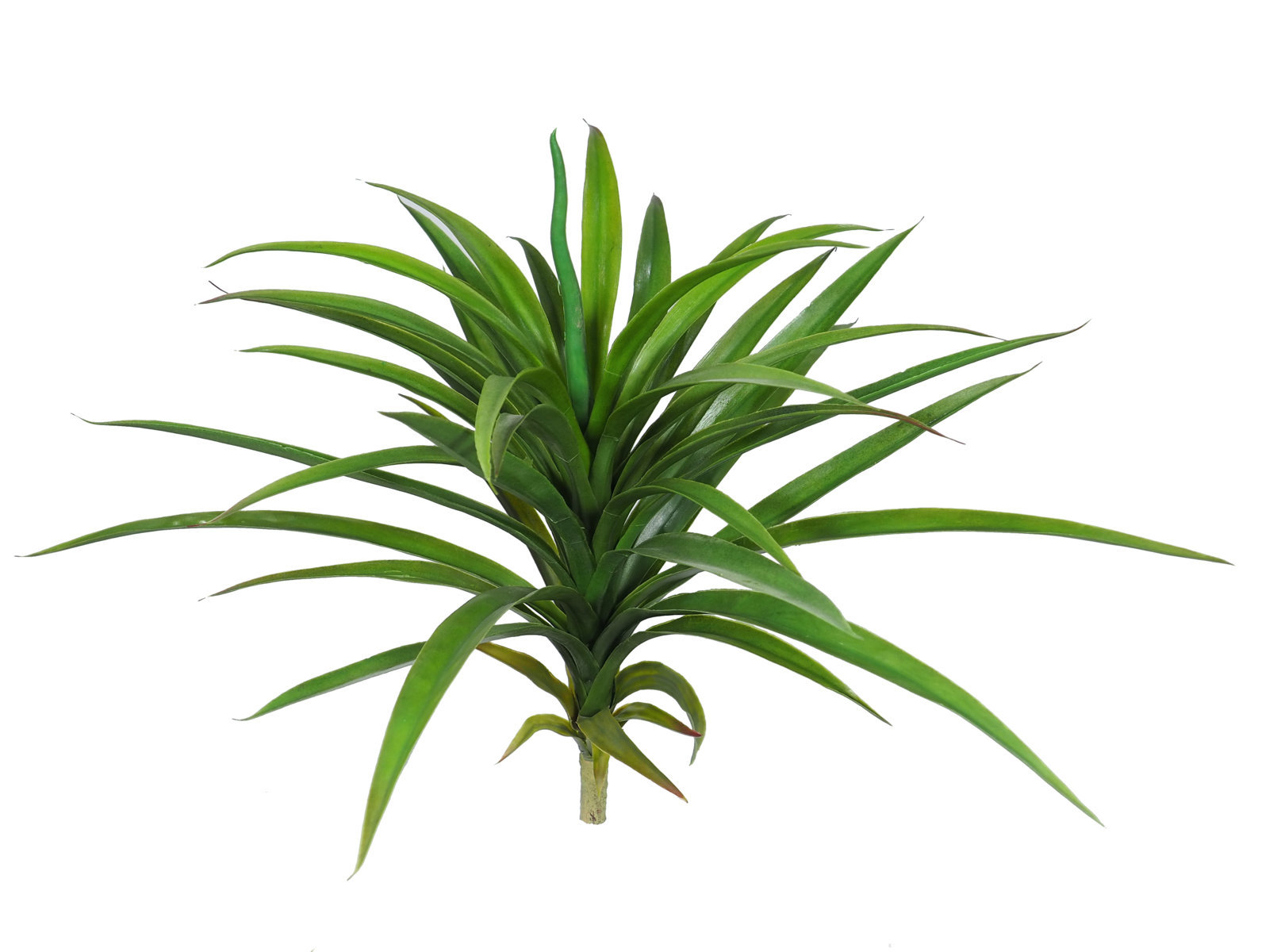 2621210.jpg Yuca Tropic Med. plastico - 60cm. - Imagen 1