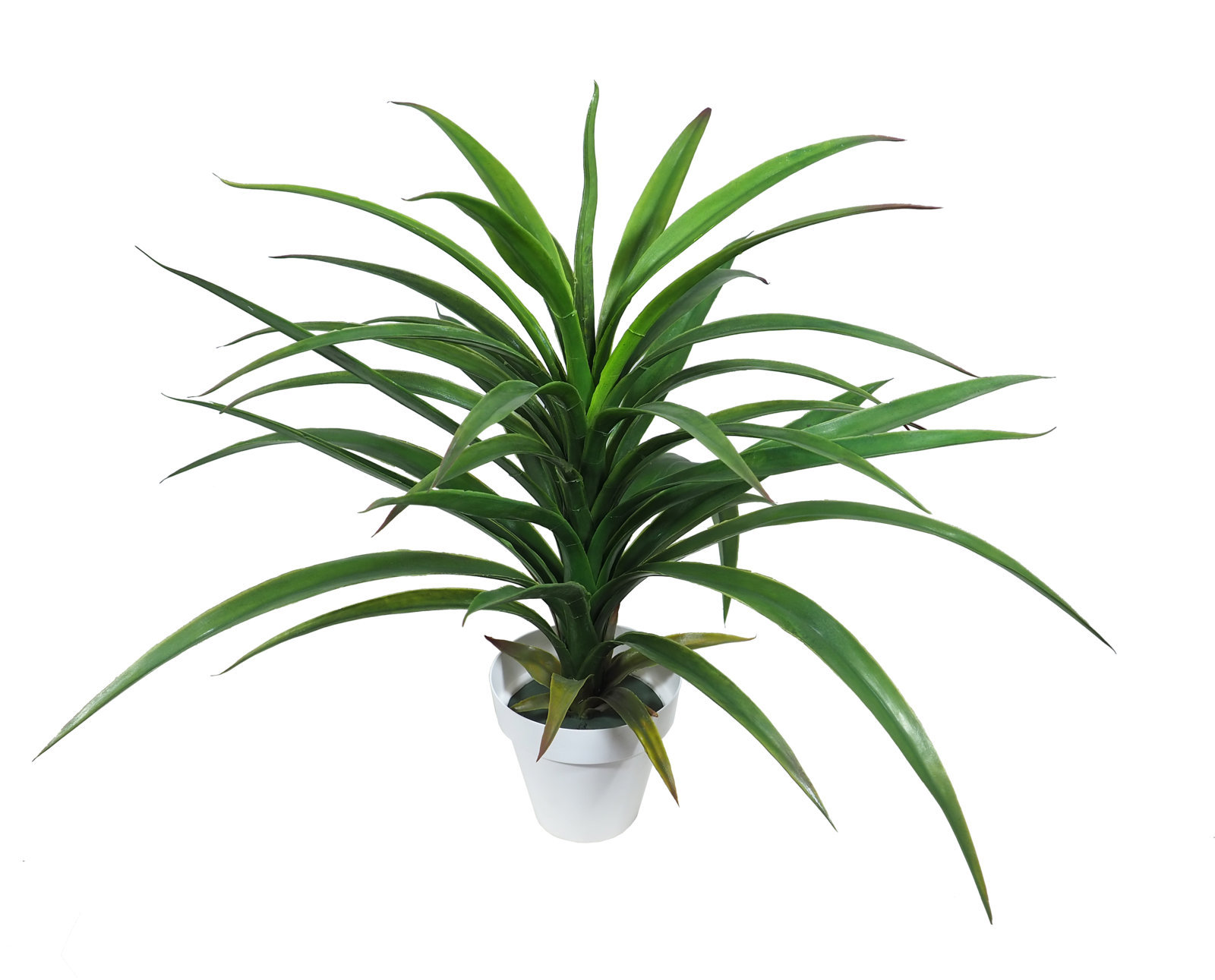 2621210A.jpg B/BL Yuca Tropic M. plastico con maceta - 60cm. - Imagen 1