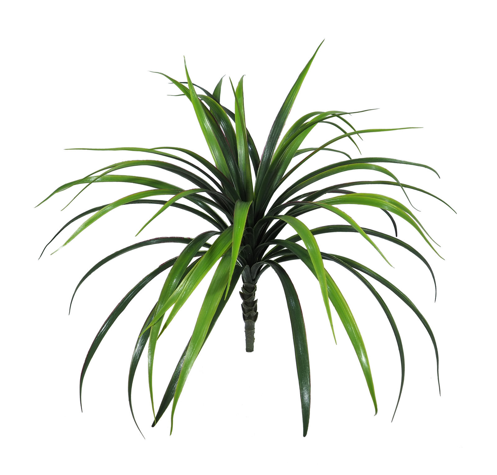 2621390.jpg Yuca verde/rojo plastico - 60cm. - Imagen 1