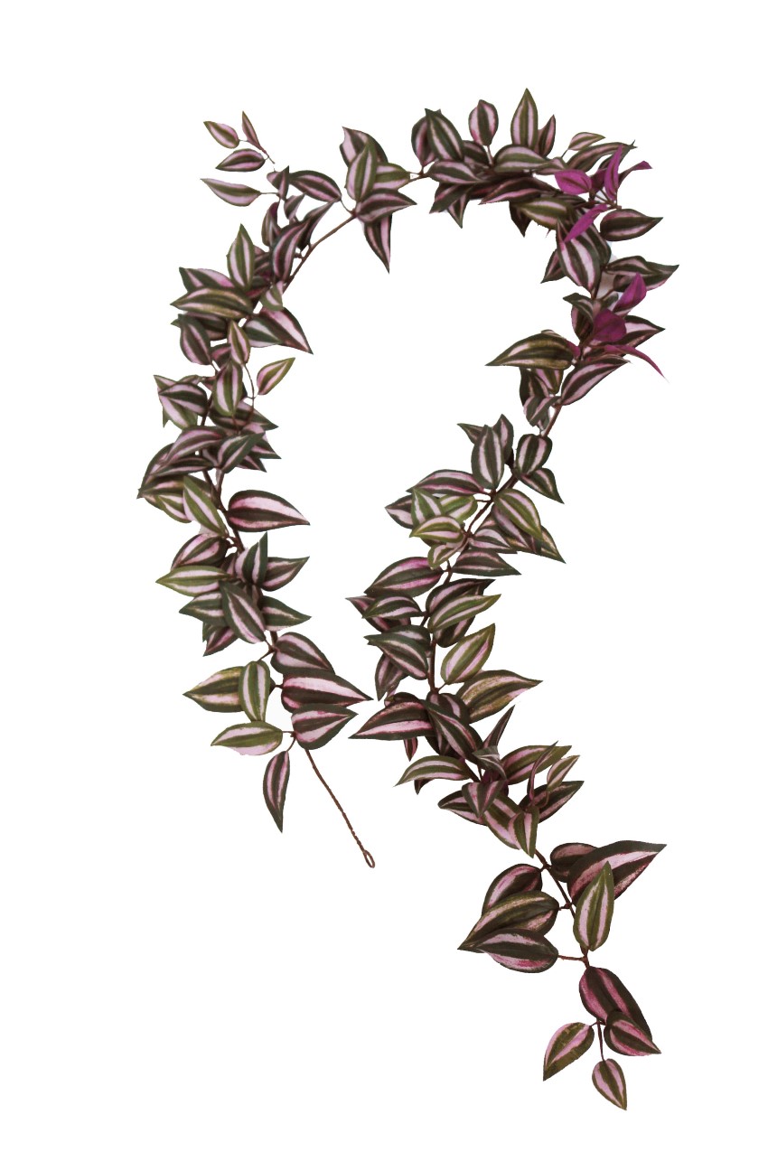 2629050.jpg Guirnalda de Tradescantia - 180cm - Imagen 1
