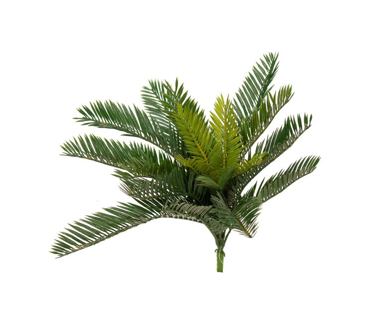 2629210.jpg Cyca verde plastico - Ø60x40cm - Imagen 1
