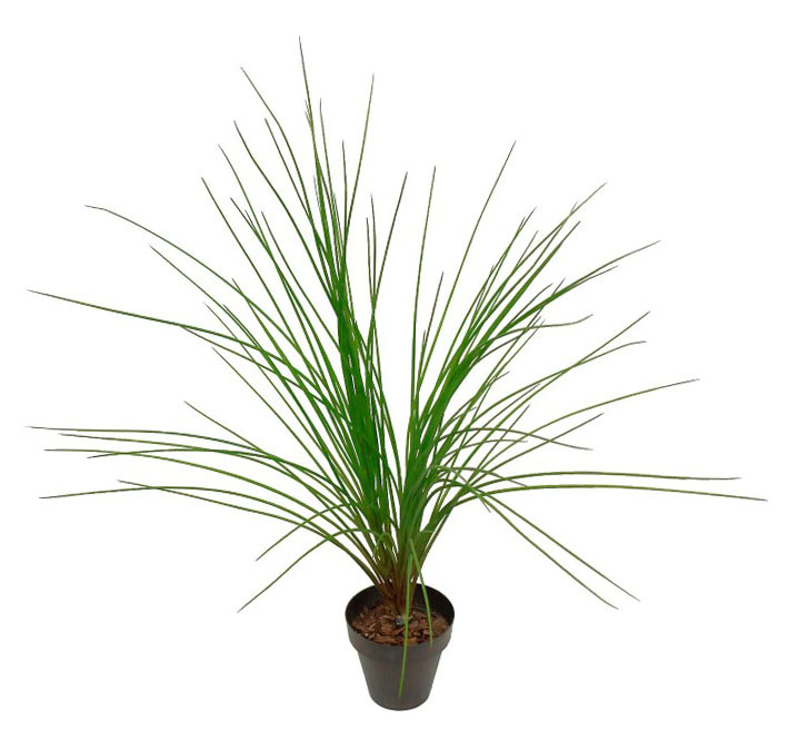 2629250A.jpg Hierba Luxe plastico maceta gris - Ø14x80cm - Imagen 1