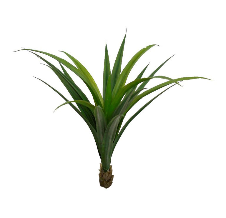 2629290.jpg Yuca Tropical G. plastico - 80cm - Imagen 1