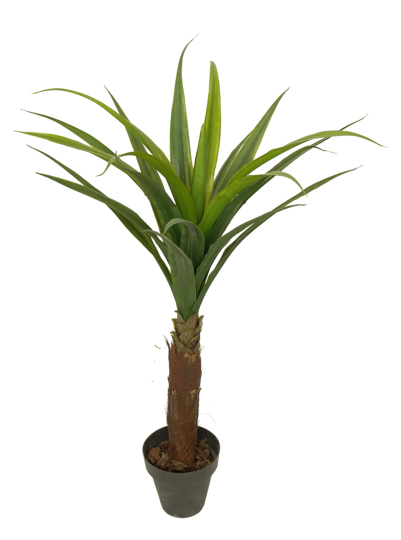 2629290B.jpg Yuca Tropical plastico tropical - Ø18x110 C/M - Imagen 1