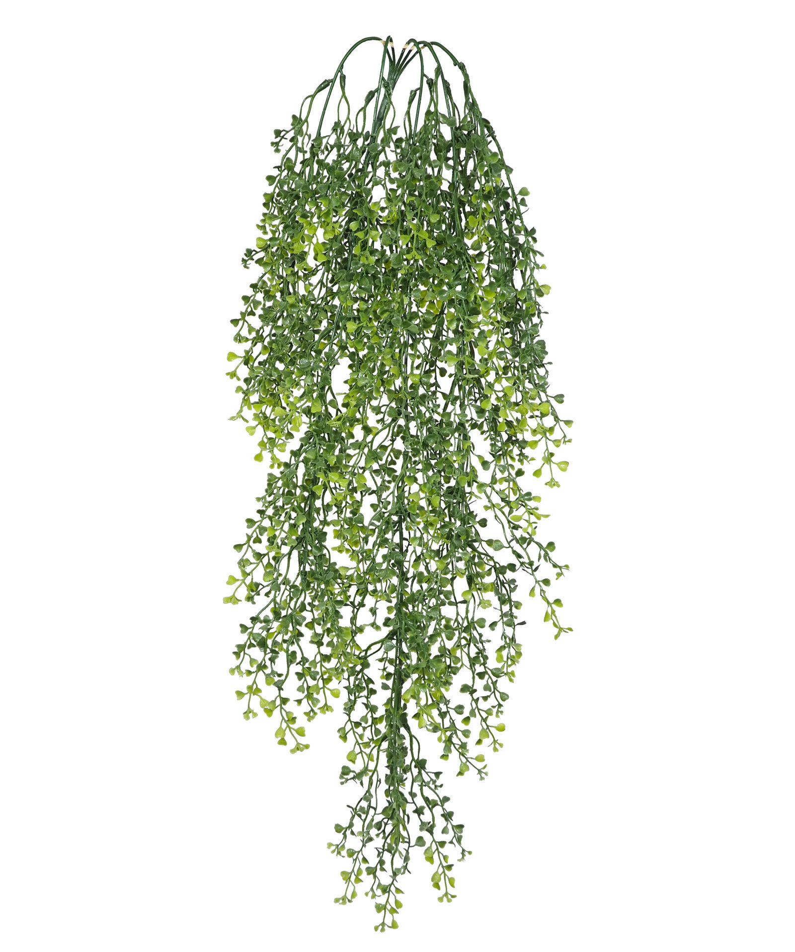 2629300.jpg Crassula verde colgante plastico - 85cm - Imagen 1
