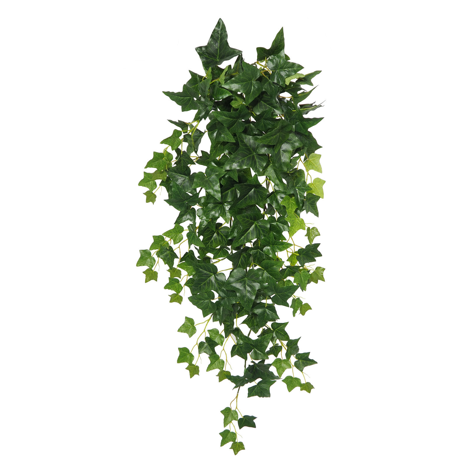 2629440 Hiedra Helix verde colgante - 110cm - Imagen 1