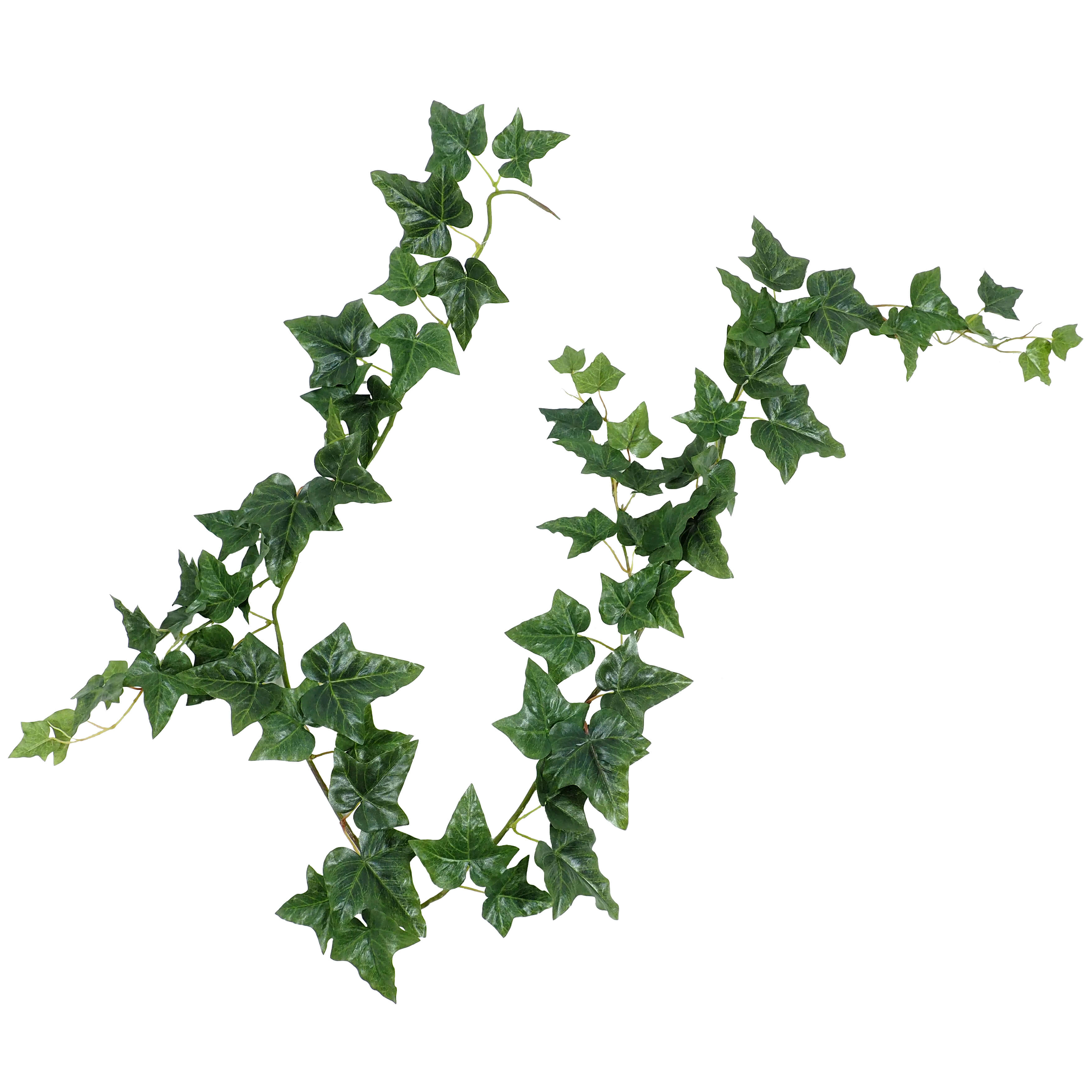 2629450.jpg Guirnalda de Hiedra Helix verde - 180cm - Imagen 1