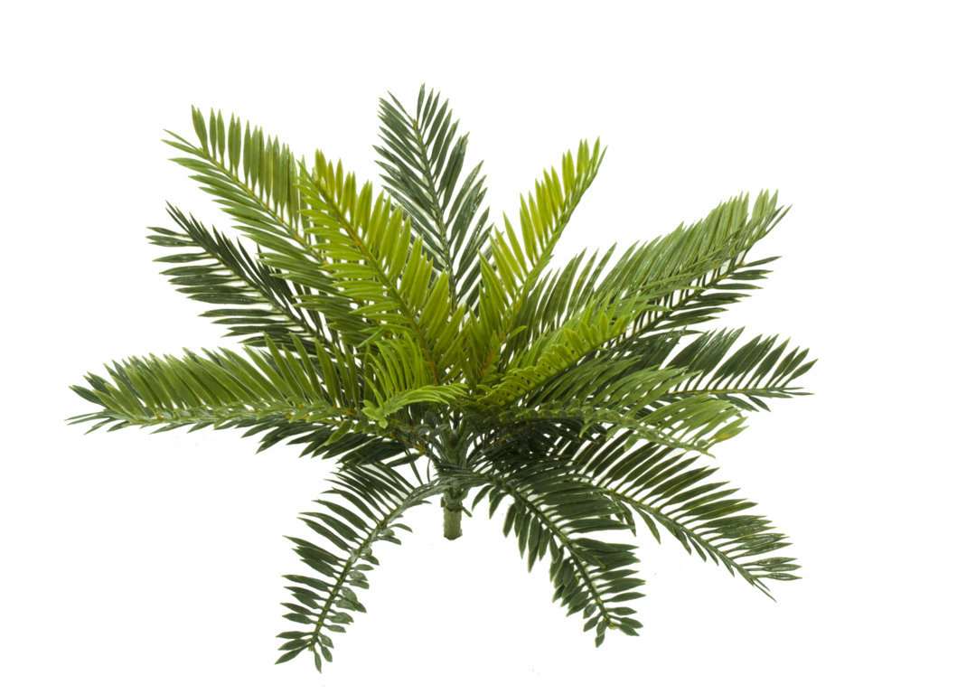 2629490.jpg Cyca verde plastico - Ø40x38 cm - Imagen 1