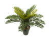 Cyca verde plastico con maceta - Ø40x30cm