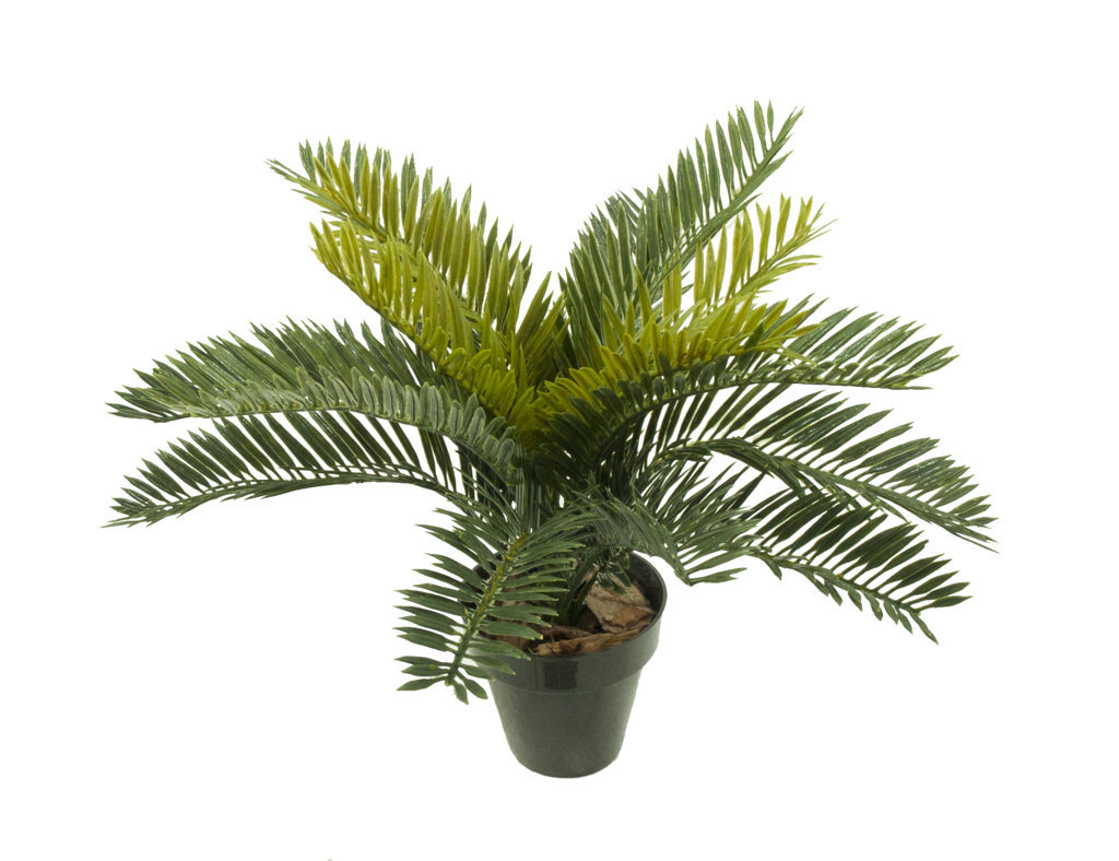 2629490A.jpg Cyca verde plastico con maceta - Ø40x30cm - Imagen 1