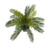 Cyca verde plastico con maceta - Ø40x30cm - Imagen 2