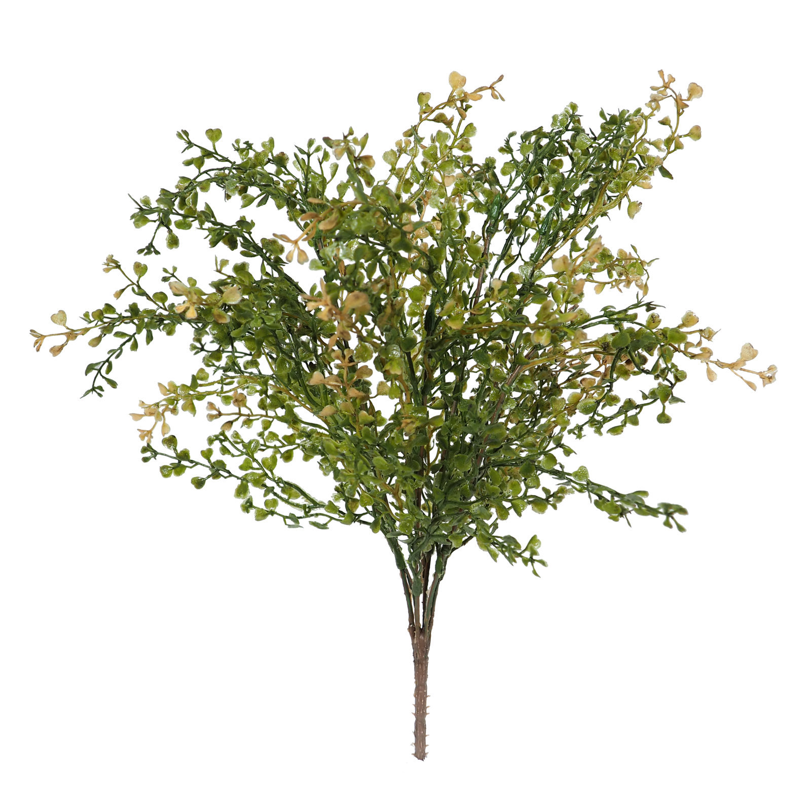 2629560.jpg Crassula verde/otoñal Plastico - 40cm - Imagen 1
