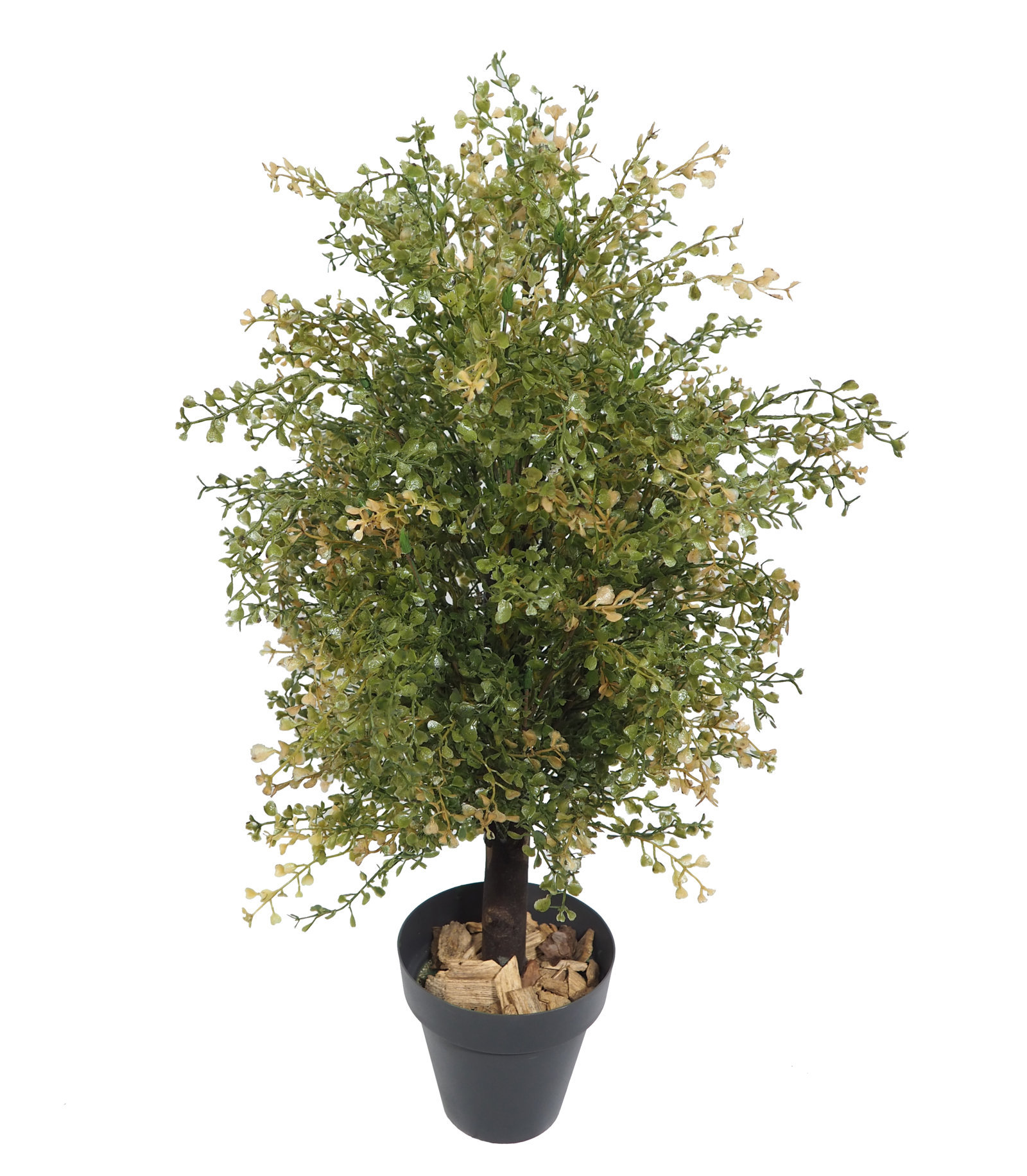 2629560C.jpg Arbolito crassula verde/otoñal plastico 65 cm - Imagen 1