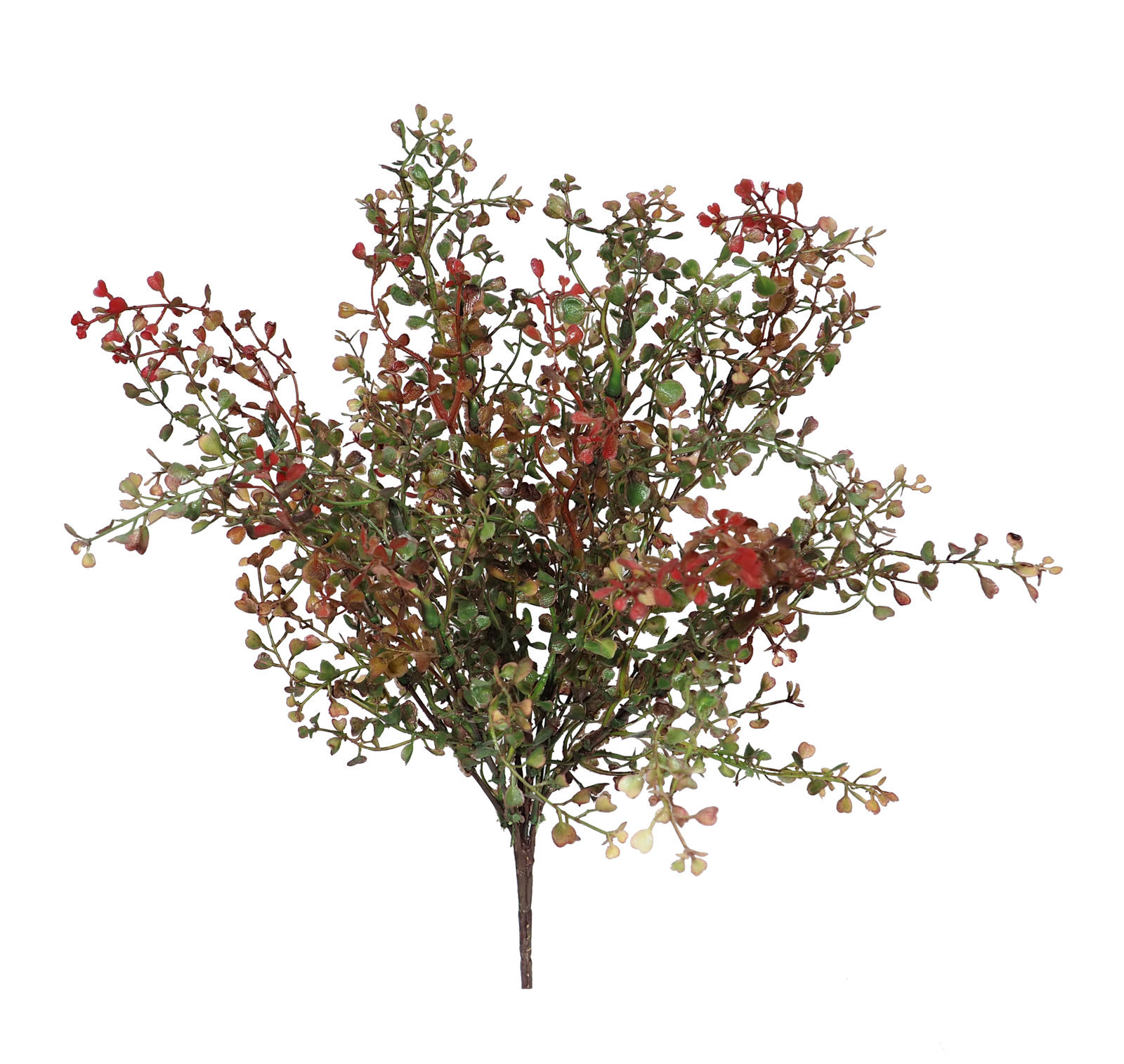 2629565.jpg Crassula rojiza/otoñal plastico - 40cm - Imagen 1