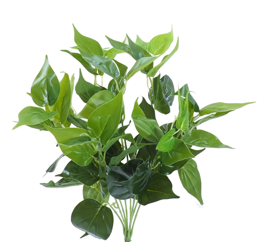 2629830.jpg Philo verde - 48cm. - Imagen 1