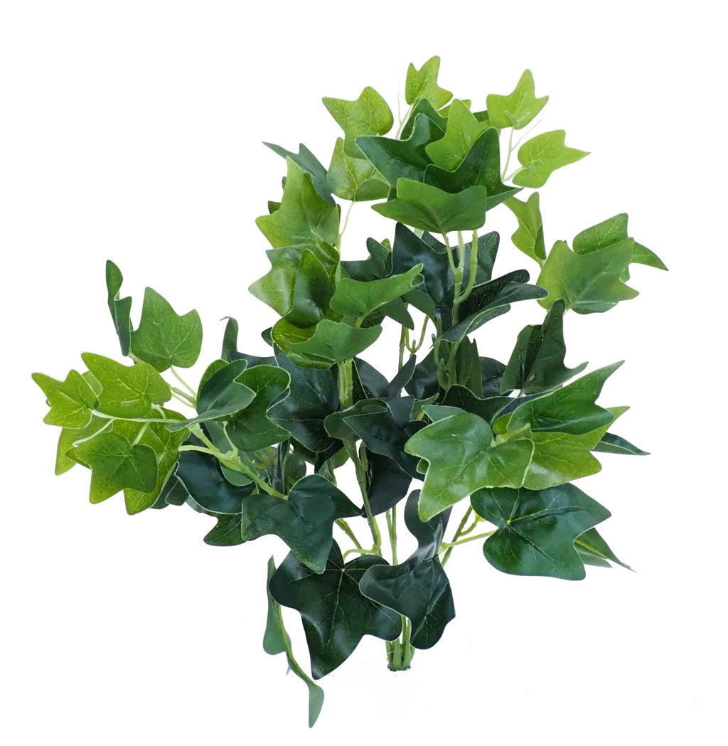 2629840.jpg Hiedra verde - 48cm. - Imagen 1