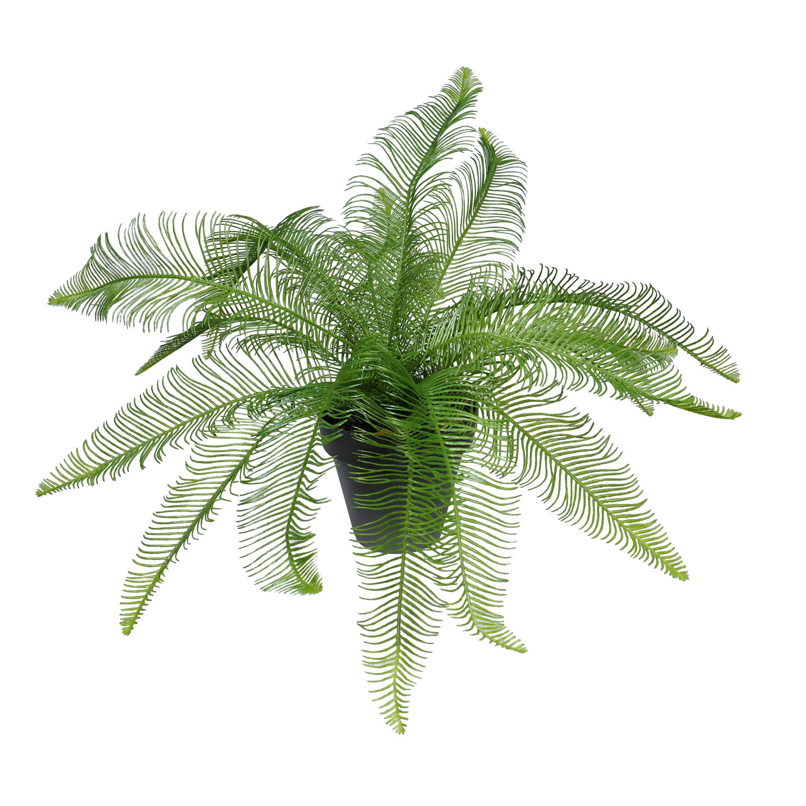 2629861A.jpg Helecho Silvestre plastico con maceta - Ø80x50cm. - Imagen 1