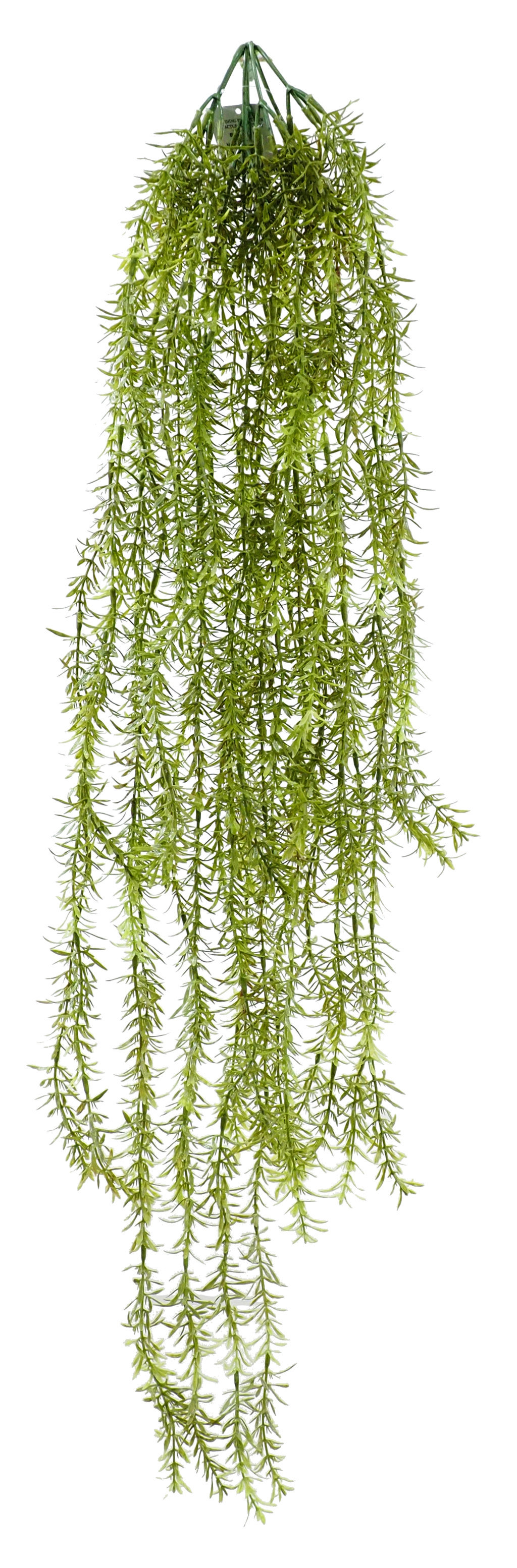2629880.jpg Acqua Verde Plastico -100cm. - Imagen 1