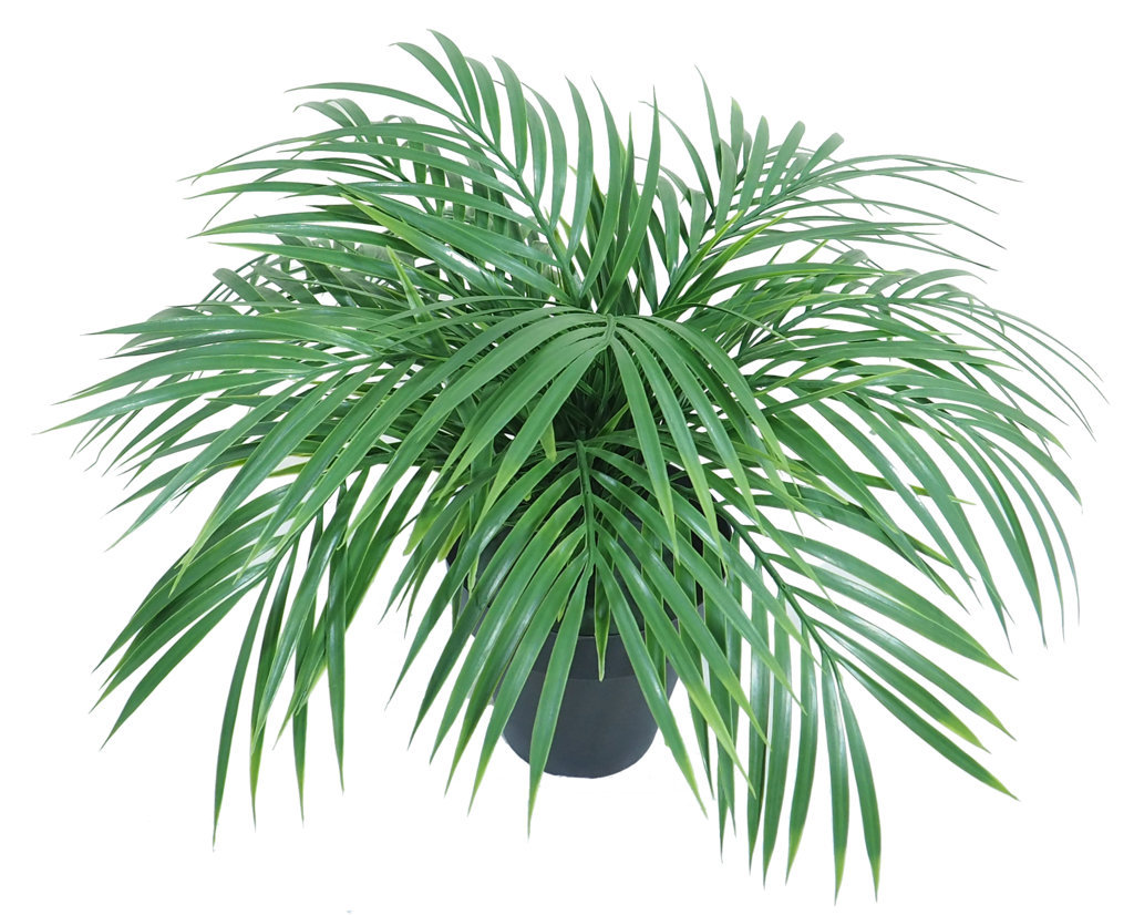 2629890A.jpg Areca verde plastico con maceta - Ø48x40cm. - Imagen 1