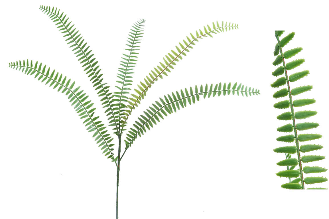 2629900.jpg Helecho Jungla Plastico - 90cm. - Imagen 1