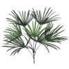 Palmera Raphis Plástico 63 cms.