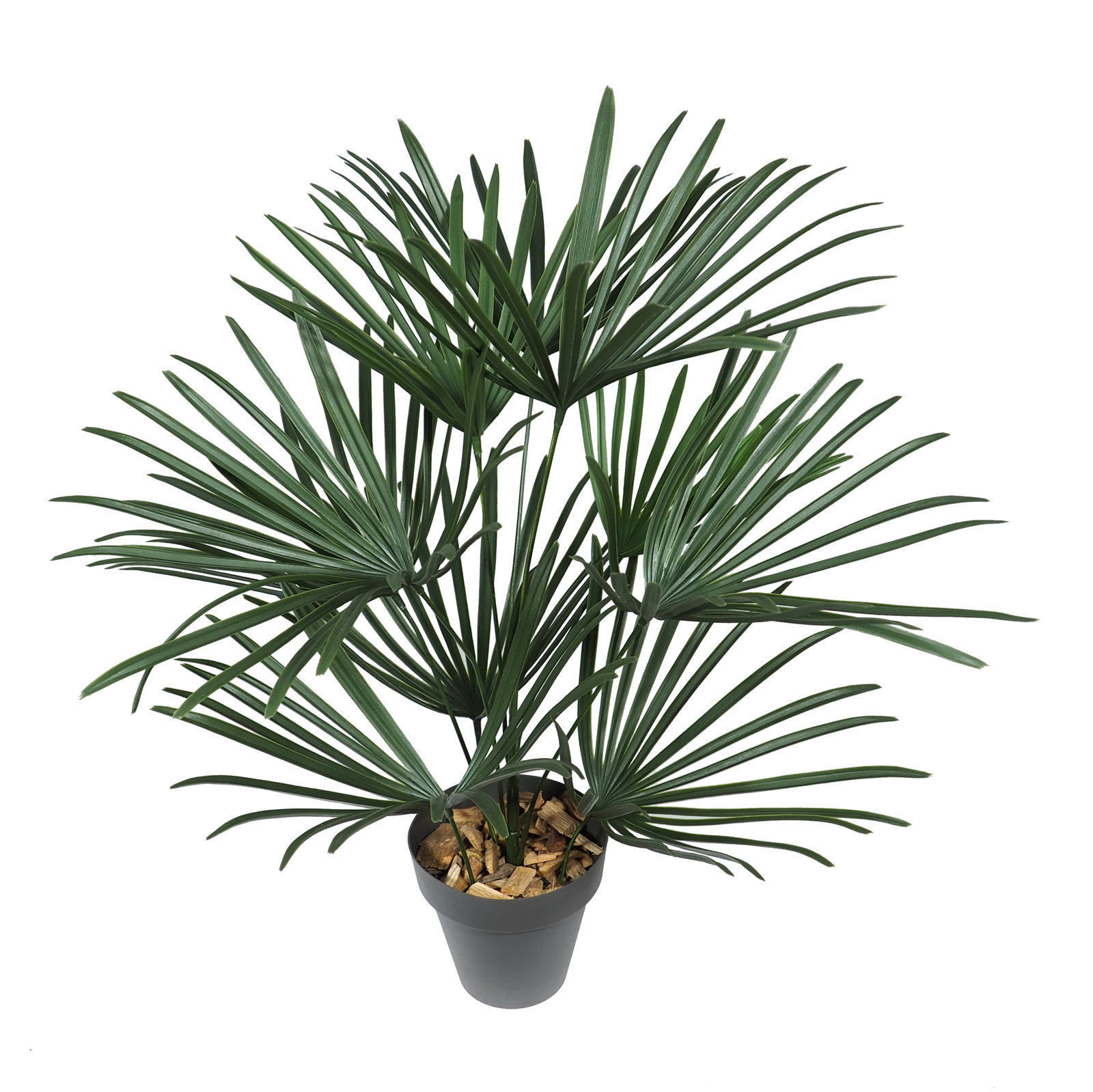 2630090A.jpg Palmera Raphis Plás.Ø50x60 cms. C/Maceta - Imagen 1