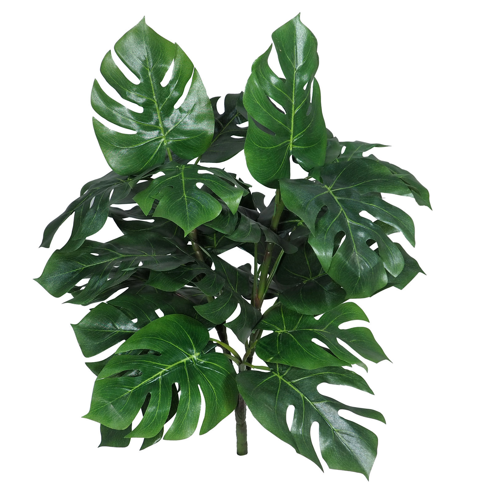 2630100.jpg Monstera verde - Ø40x55cm - Imagen 1