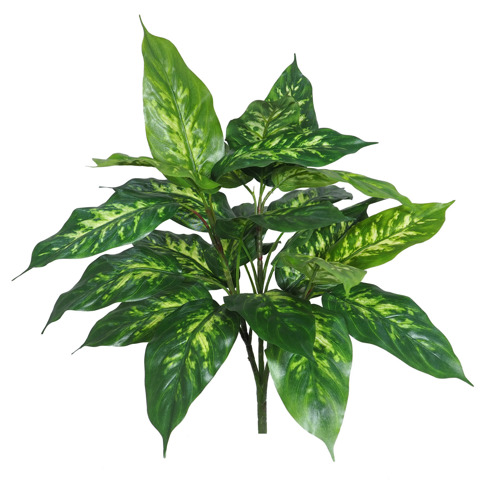 2630110.jpg Dieffembachia verde - Ø45x55 cm - Imagen 1