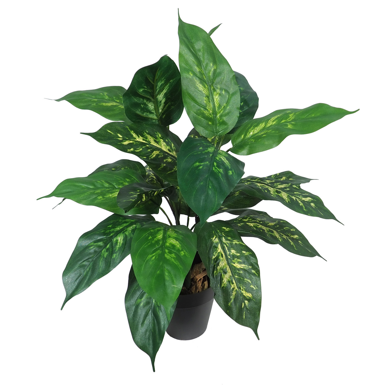 2630110A.jpg Dieffembachia verde - Ø50x55 cm Con Maceta - Imagen 1