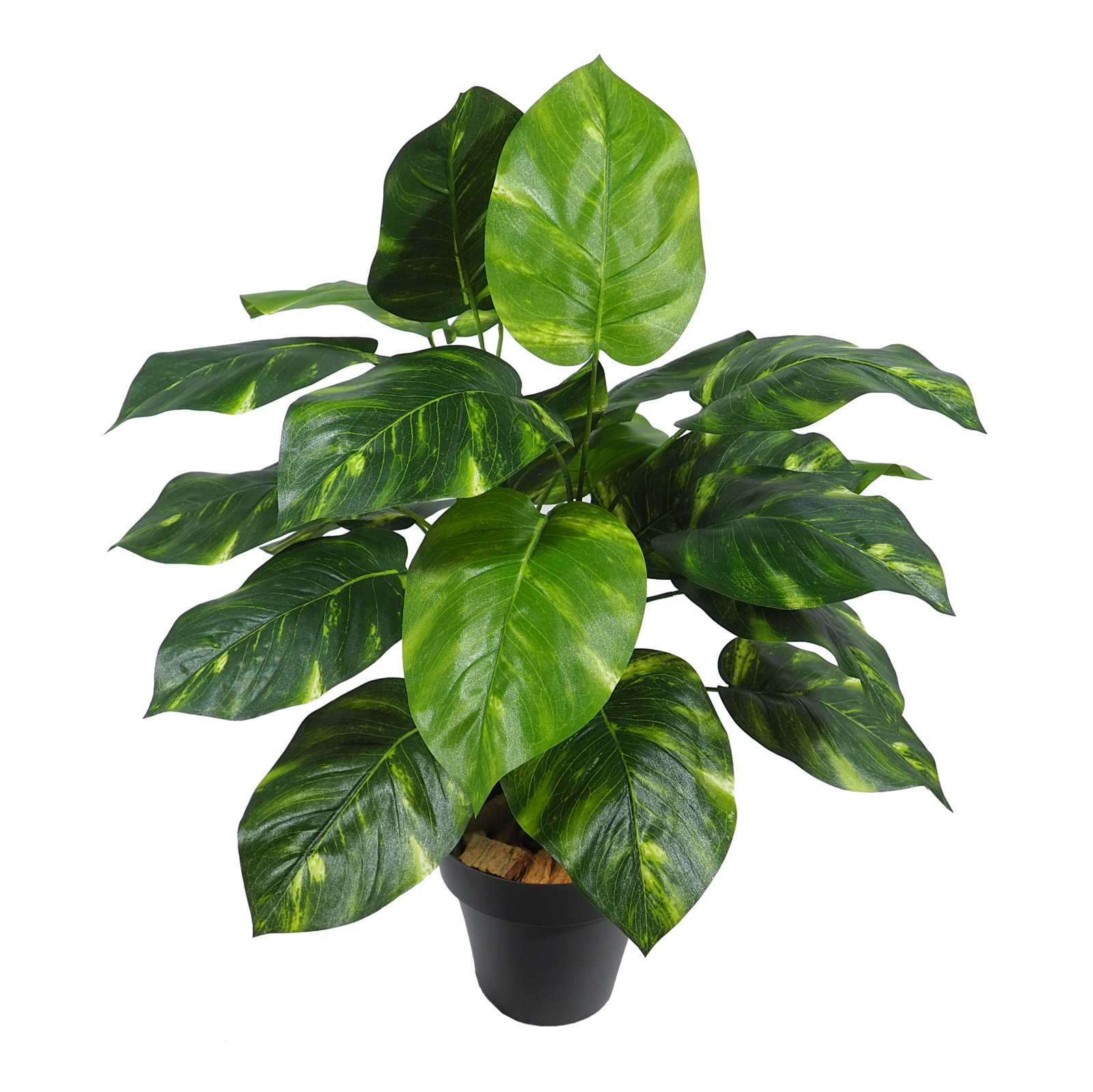 2630120A.jpg Pothos verde - Ø45x55 cm Con Maceta - Imagen 1
