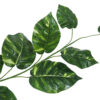 Guirnalda  Pothos variegata 20 hojas- 180cm. - Imagen 2