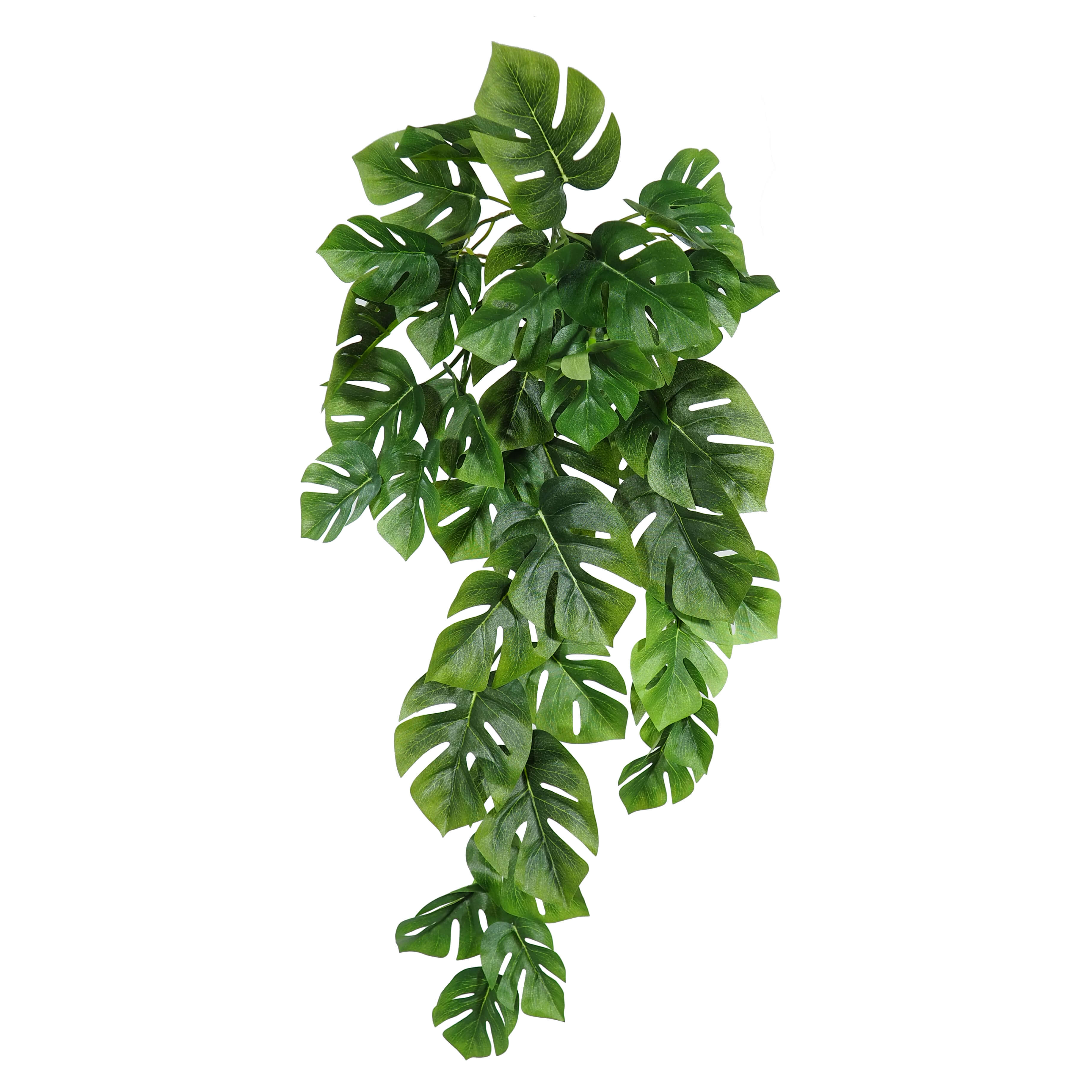 2630150.jpg Philodendro verde Colgante - 60cm. - Imagen 1