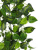 Pothos Verde 9 tallos- 110cm. COLGANTE - Imagen 2