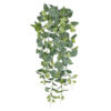 Fitonia 9 tallos- 110cm. COLGANTE