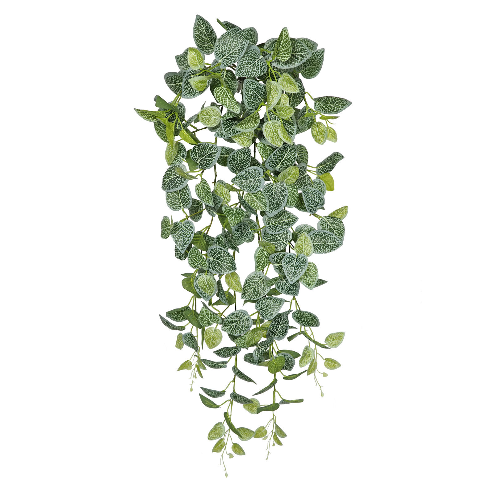 2630201.jpg Fitonia 9 tallos- 110cm. COLGANTE - Imagen 1