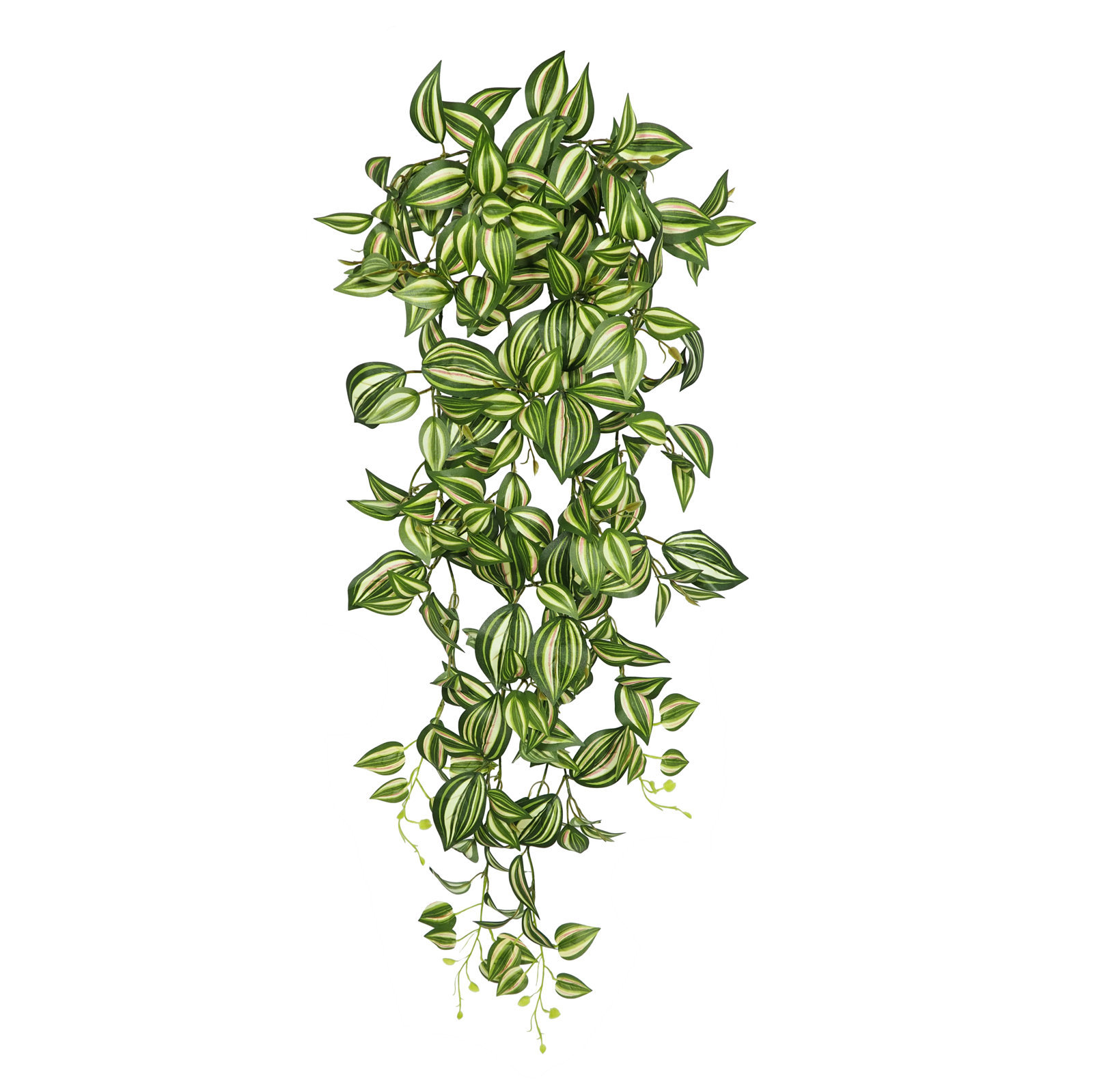 2630202.jpg Tradescantia 9 tallos- 110cm. COLGANTE - Imagen 1