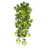 Begonia 9 tallos- 110cm. COLGANTE