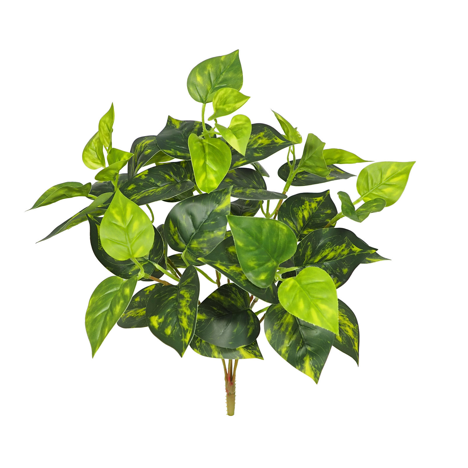 2630210.jpg Pothos Verde 7 tallos- 40cm. - Imagen 1