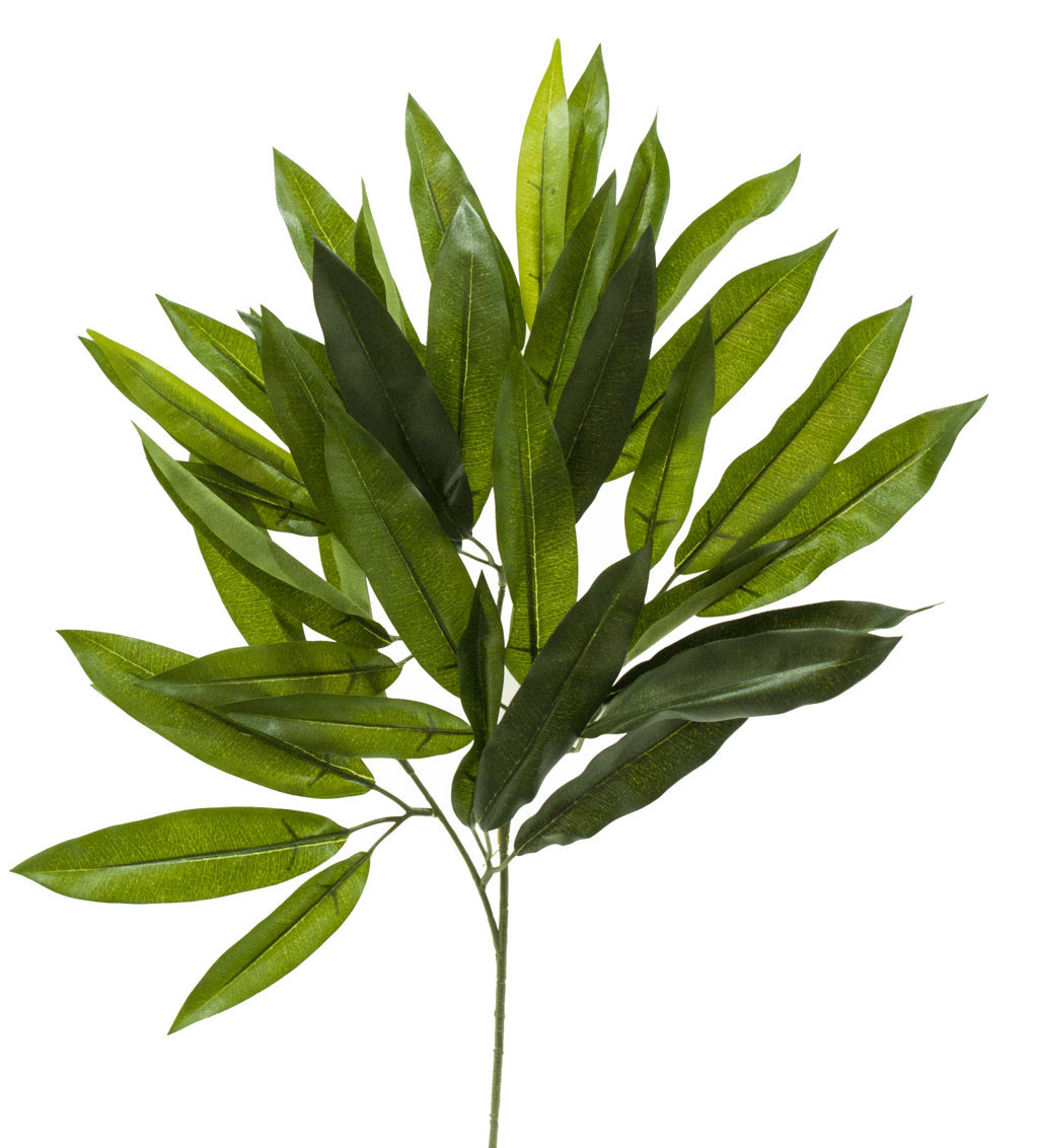 2818310.jpg Rama de MANGO Verdex62cm. - Imagen 1