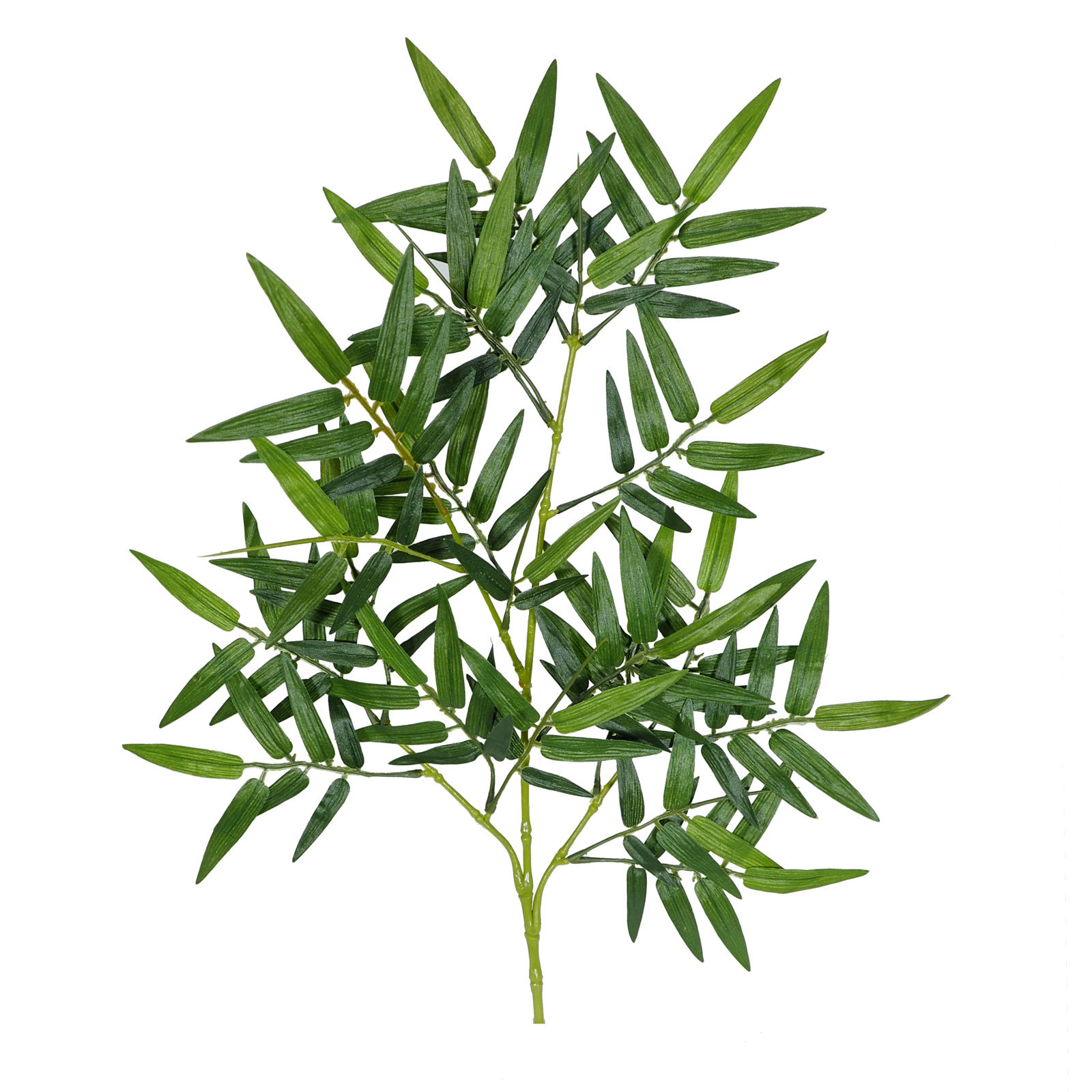 2870090.jpg Rama de Bambu Japones - 46cm - Imagen 1