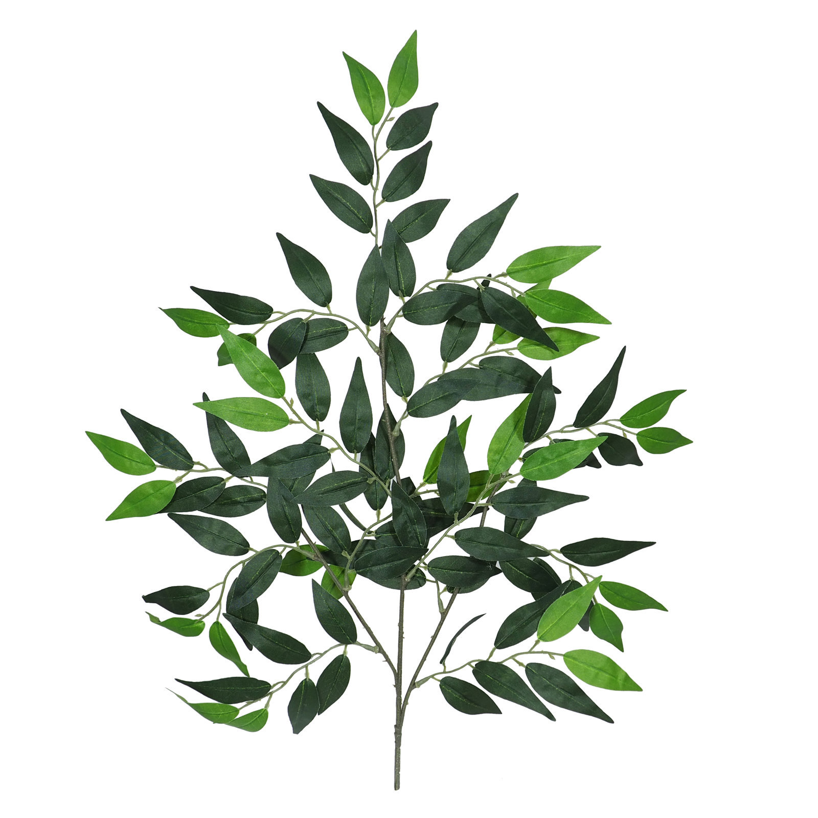 2870200.jpg Rama de Ficus Frances verde - 60cm - Imagen 1