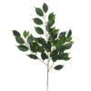 Rama de Ficus Exotica verde - 75cm