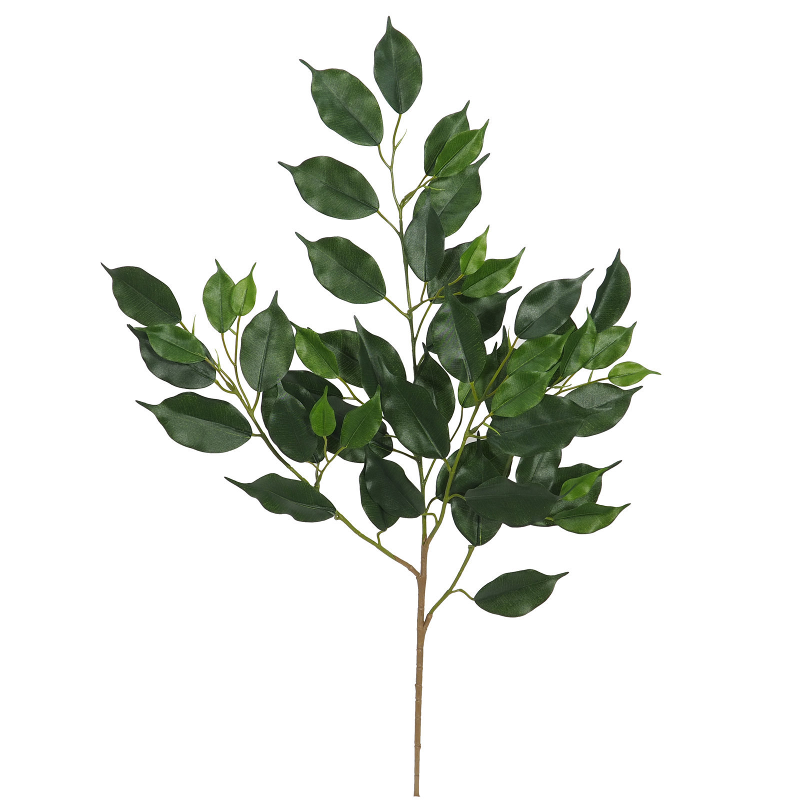 2880055 Rama de Ficus Exotica verde - 75cm - Imagen 1