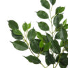 Rama de Ficus Exotica verde - 75cm - Imagen 2
