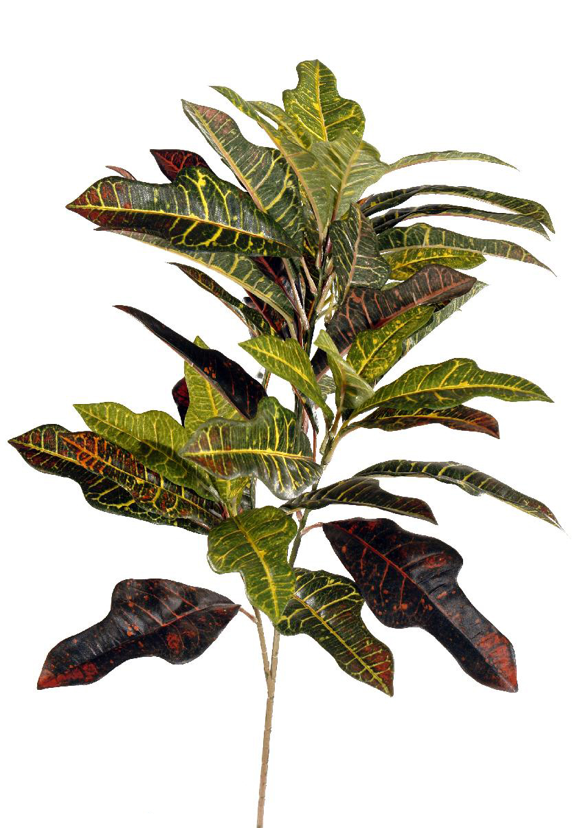 2880140.jpg Rama de Croton Luxe multicolor - 90cm - Imagen 1