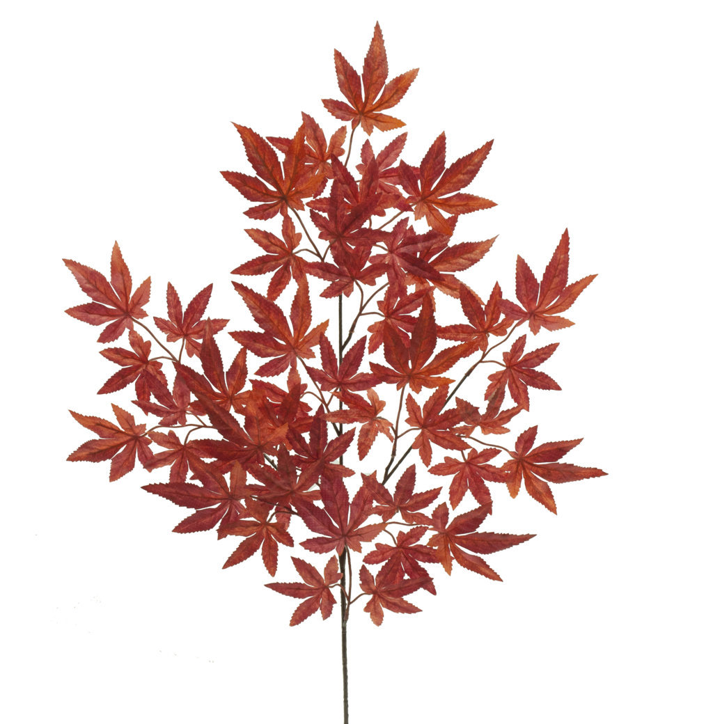 2880405.jpg Rama de Maple Japonés Rojizo 65cm - Imagen 1