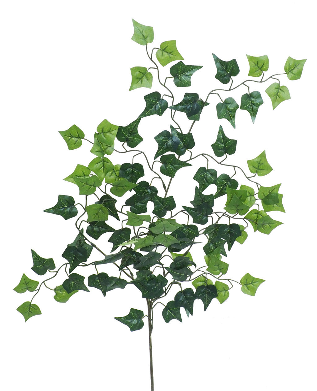 2880460.jpg Rama de Hiedra Mini verde - 65cm - Imagen 1