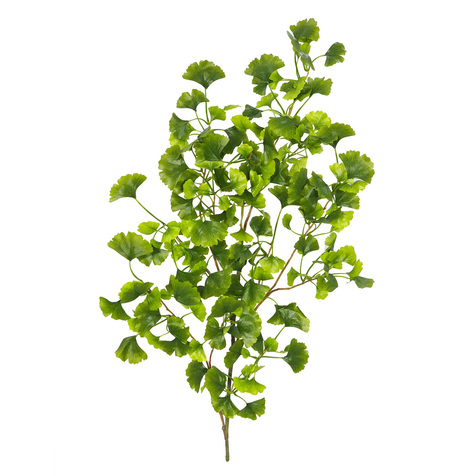 2880490 Rama Ginko Verde 120 cm. - Imagen 1
