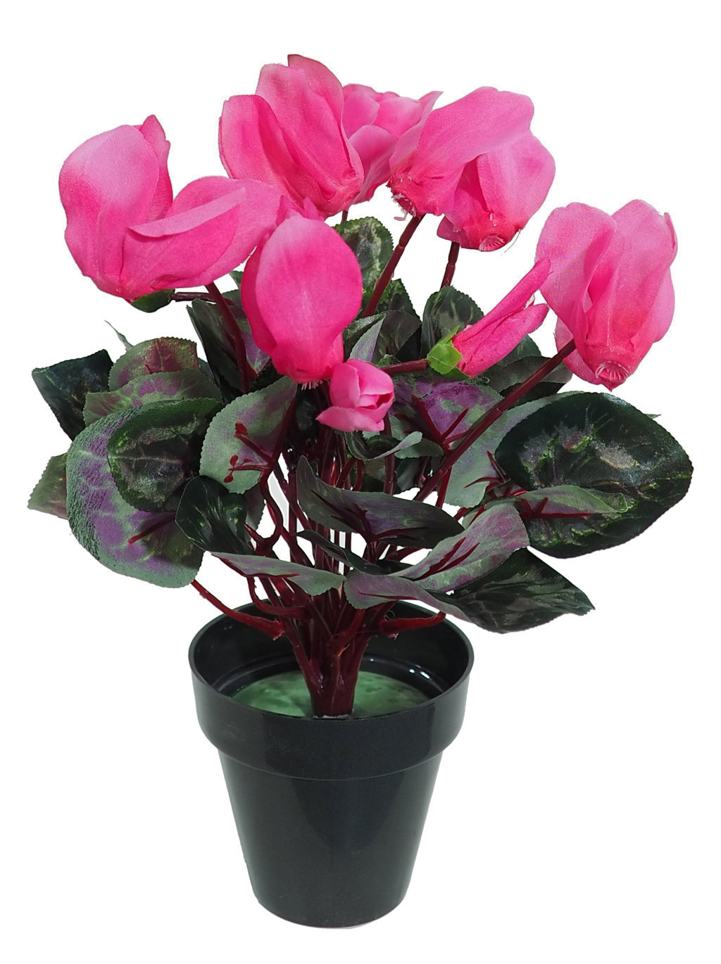 2919604A.jpg Ciclamen fucsia M - Ø10x30cm. - Imagen 1